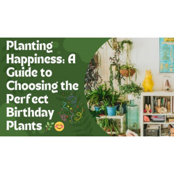 Planting Happiness: Navigating the Lush Landscape of Perfect Birthday Plants